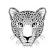 Leopard Muzzle on White - GraphicRiver Item for Sale