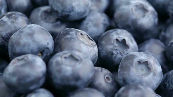 Fresh blueberries, fruit background