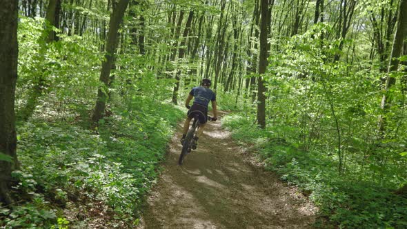 A Cyclist is Riding Downhill in the Forest