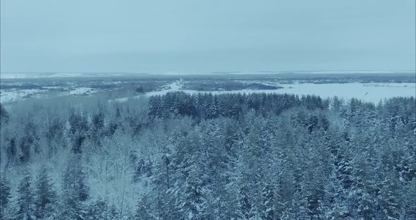 Drone Flies Over Agricultural Expanses Snowcovered Forests and Fields