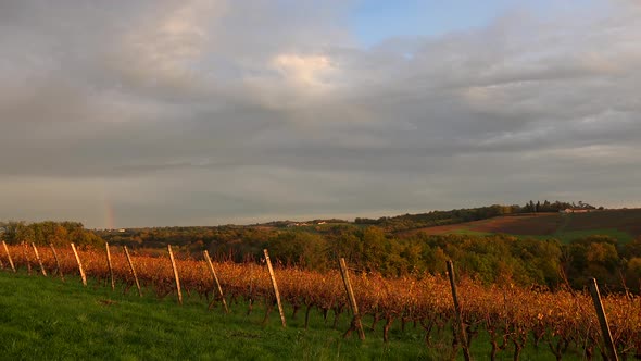 Timelapse Bordeaux Vineyard at sunrise in autumn, Entre deux mers, Langoiran, Gironde