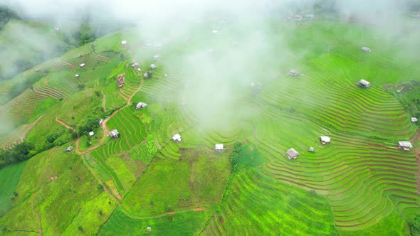 Drone is flying through clouds above rice terraces