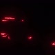 Red Circuits Background - VideoHive Item for Sale