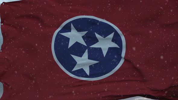 Tennessee Winter Flag with Snowflakes Background