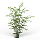 Game Ready Bamboo Tree 01 - 3DOcean Item for Sale