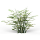 Game Ready Bamboo Tree 02 - 3DOcean Item for Sale