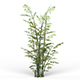Game Ready Bamboo Tree 03 - 3DOcean Item for Sale