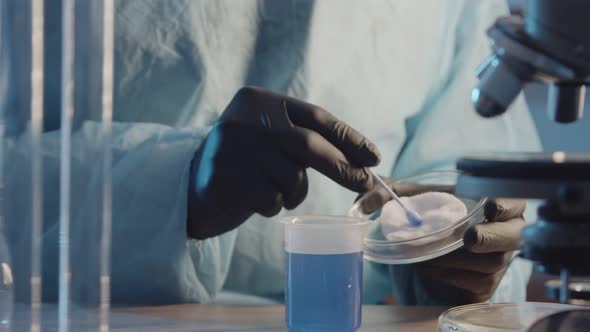 A Laboratory Assistant in Protective Rubber Gloves Makes Samples with a Blue Liquid on a Cotton Pad