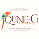 Qene-G Font Duo, Serif & Signature Script - GraphicRiver Item for Sale