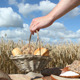 Grain And Bread - VideoHive Item for Sale