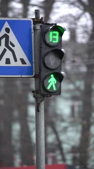 Vertical Video of a Pedestrian Traffic Light on the Road