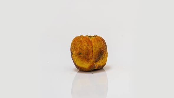 Time Lapse of Peach Rotting on a White Background the Process of Decomposition and Decay Shooting