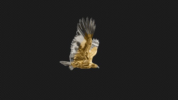 Gold Eagle - Flying Transition - I alt
