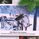 Christmas Memories - VideoHive Item for Sale