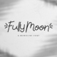 Fully Moon - GraphicRiver Item for Sale