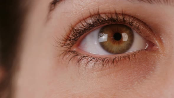 Macro shot of a woman's brown eye opening