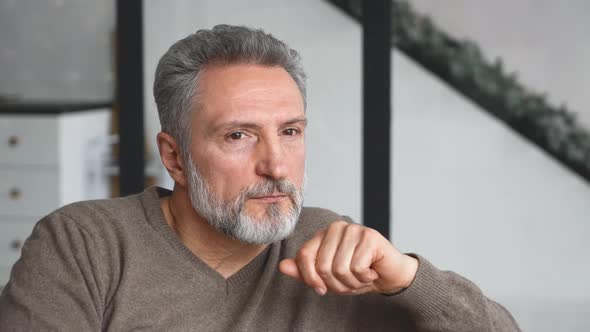 Portrait of Serene and Carefree Handsome Middleaged Greyhaired Man