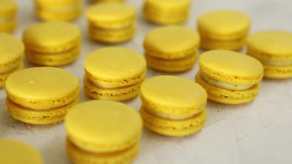 Closeup View of Many Rows of Yellow Lemon Macarons Macaroon on White Background
