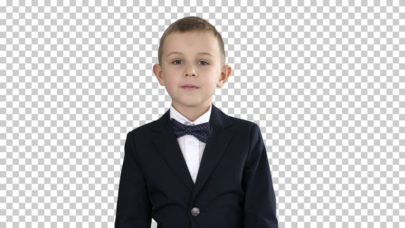 Little Boy in A Costume with A Bow Tie Walking, Alpha Channel