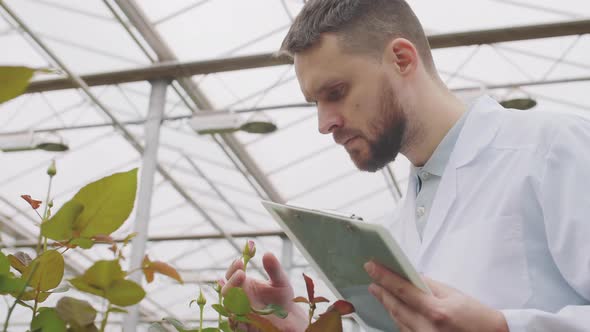 Male Scientist Making Notes in Document in Greenhouse