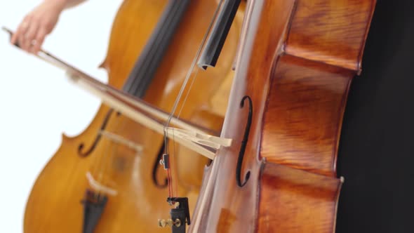 String Ensemble, Close Up of Womens Hands Playing the Violoncellos in White Room.