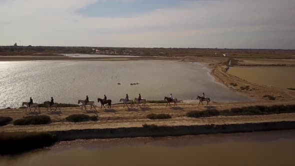 Drone view of a horse ride, they follow each other in single file. Camargue, South of France