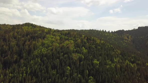 Aerial view of high mountains covered with green spruce forest in cloudy summer weather.