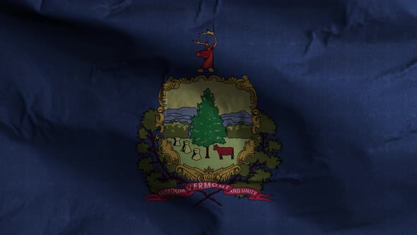 Vermont State Flag 4K