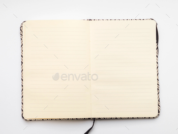 Blank page of lined notebook with pencil