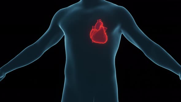 The Human Heart Diagnostic Through Artificial Inteligence Technology