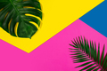 Creative banner with tropical leaves on geometric vibrant colours background. Flyer for ad, design - PhotoDune Item for Sale