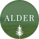 Alder - A Responsive WordPress Blog Theme - ThemeForest Item for Sale