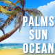 Palms, Sun, Ocean. Pack - VideoHive Item for Sale