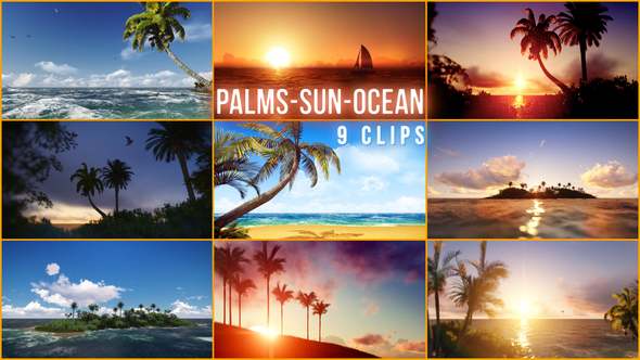 Palms, Sun, Ocean. Pack