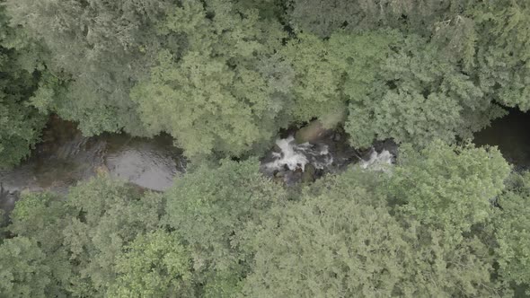 Mtirala National Park from drone, Adjara, Georgia. Flying over subtropical mountain forest