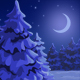 Bacground Winter Night Landscape - GraphicRiver Item for Sale