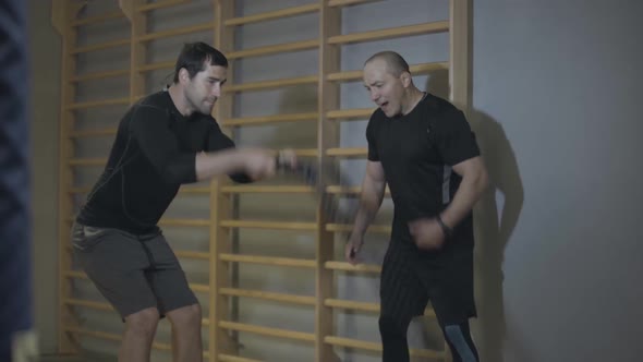 Male Trainer Endorsing Young Brunette Man Exercising with Crossfit Ropes. Healthy Handsome Caucasian