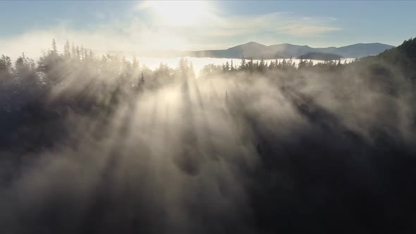 Magnificent Rays of the Rising Sun Make Their Way Through the Clouds and Tree Branches. Flying