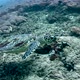 Hawksbill Sea Turtle Swimming Underwater Along the Coral Reef - VideoHive Item for Sale