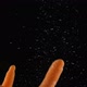 Whole Carrot Falls in Water on Black Background - VideoHive Item for Sale
