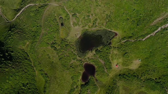 Aerial Drone Top View. Green Mountains Without Trees, Lake in the Mountains Svydovets Dragobrat