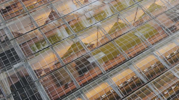 Transparent Buildings of Equipped Greenhouses with Plants