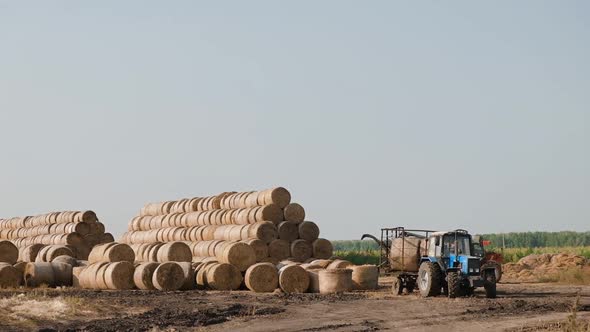 Harvesting Hay