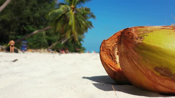 Close up of a cracked coconut on the sandy beach. Palms leaning over the coast and people relaxing i