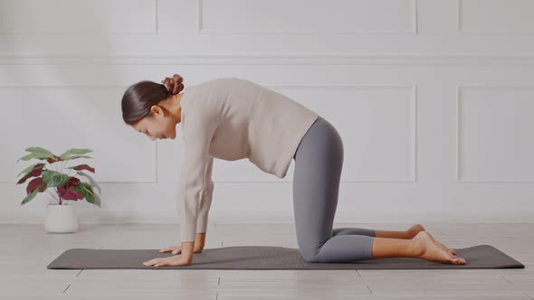 Calm of Athletic Asian woman in casual practice yoga Cat Cow pose