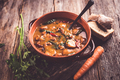 Stew made with meat, potatoes, carrots and herbs - PhotoDune Item for Sale