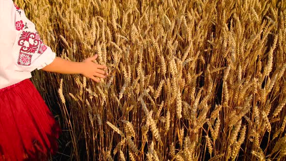 Child in Wheat Field Concept for Ukraine Independence Day