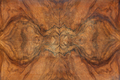 Briar wood texture background, symmetrical - PhotoDune Item for Sale