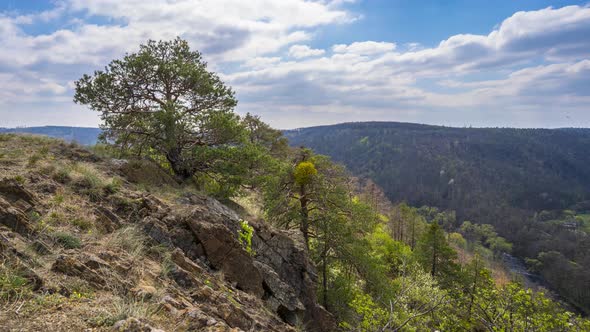 Time lapse of beautiful nature in the Czech Republic 