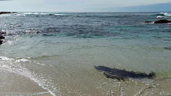 Blue green ocean waves hitting rocks at Seal Rock Beach, 17 mile Drive Spanish bay in Monetery, Cali